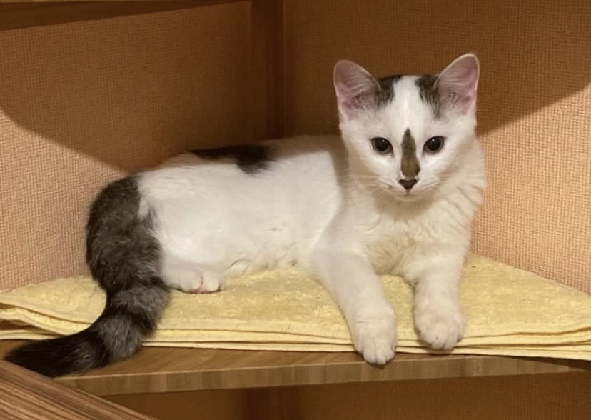 6A917064-C374-41A5-A616-46DA10CC8C89