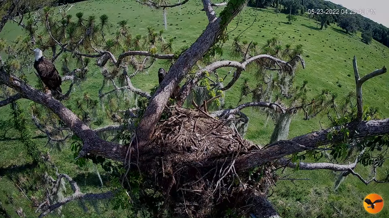 EC 4K Overhead Cam 2-4-32 screenshot