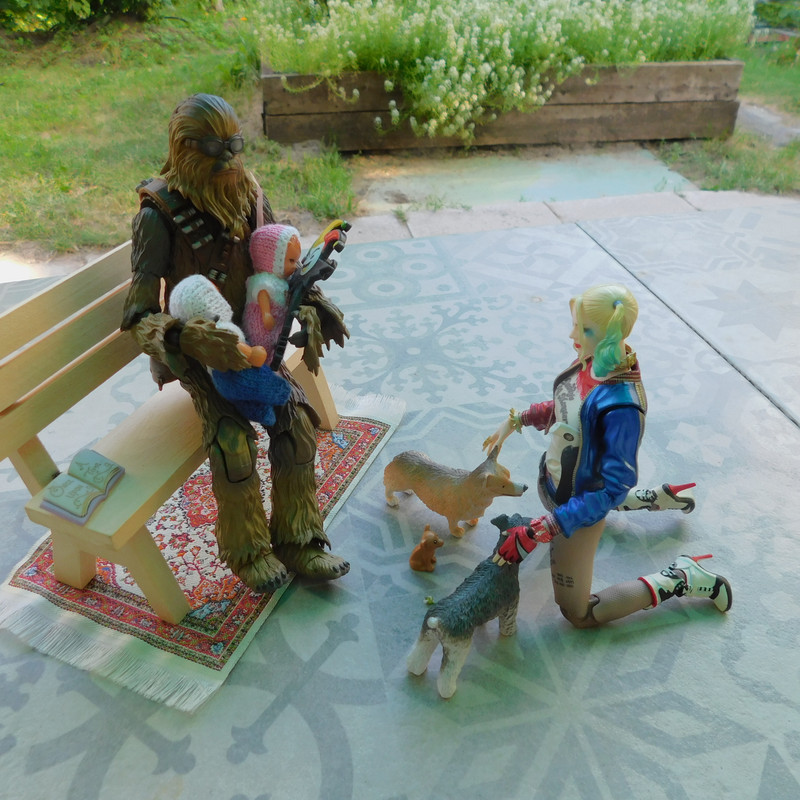 Дачно-Харлинский июнь-июль 2024 269