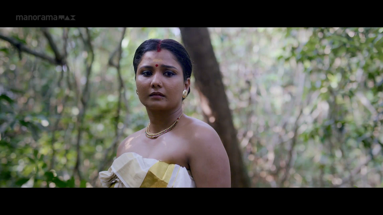 vlcsnap 2026 02 06 17h16m38s970