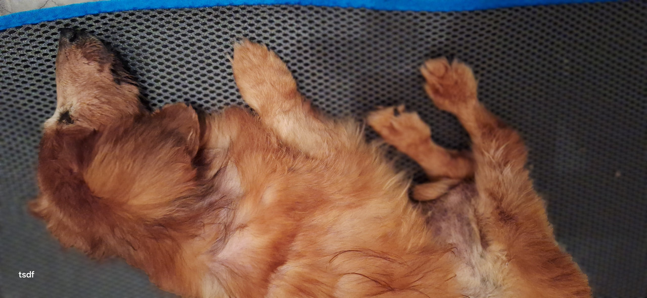 [Image: 20250706-052200.jpg]