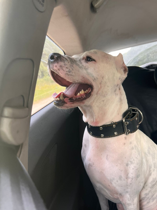 91C4F514-FA11-4C0E-B8B3-4CD4E8515988