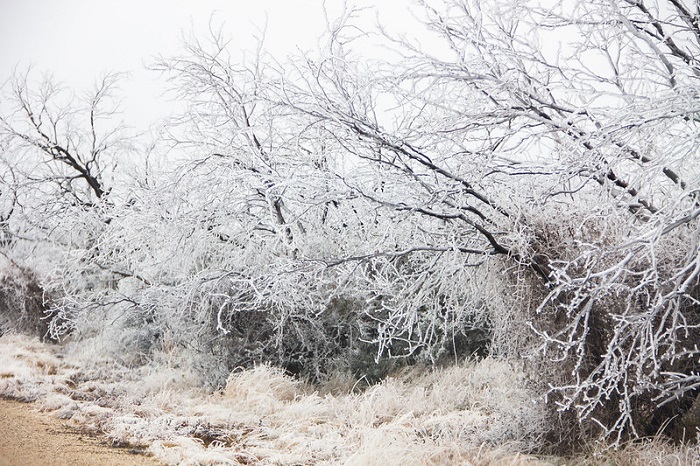 Ilustrasi - Texas saat dilanda badai musim dingin.