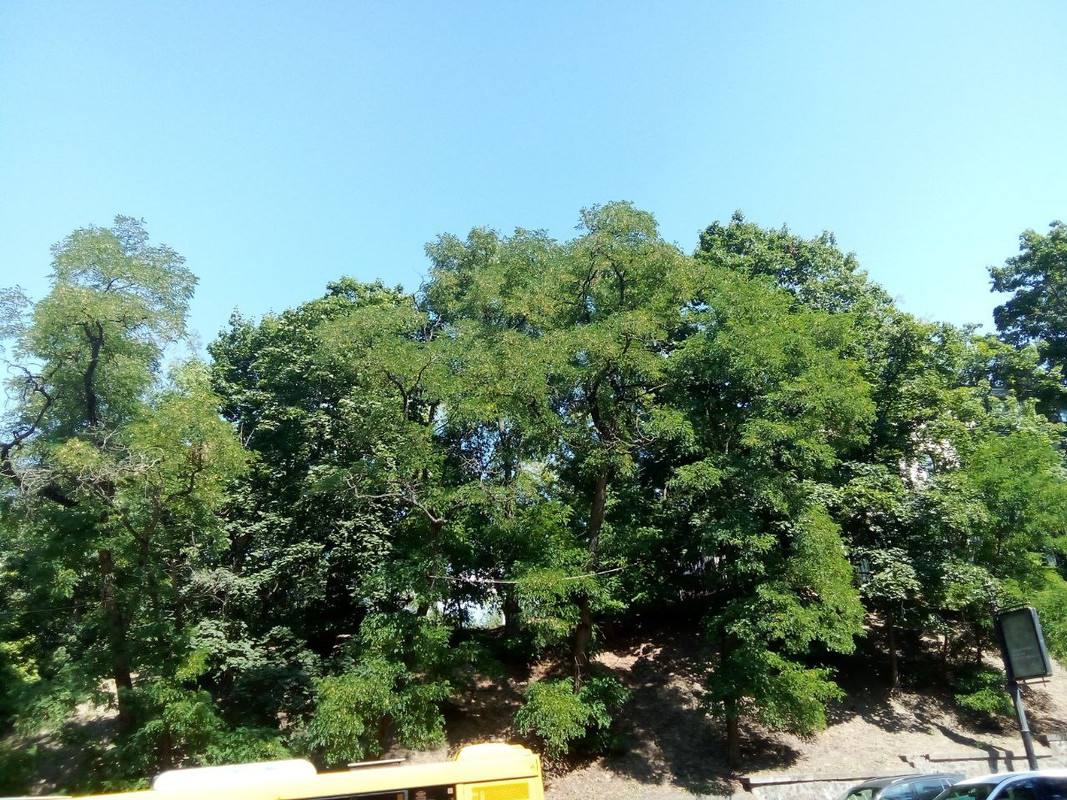 photo_2024-07-13_17-16-46 (2)