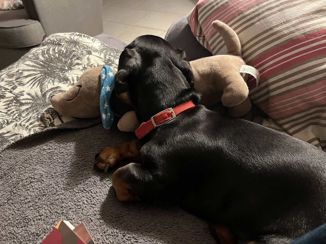 [Image: IMG-5613.jpg]