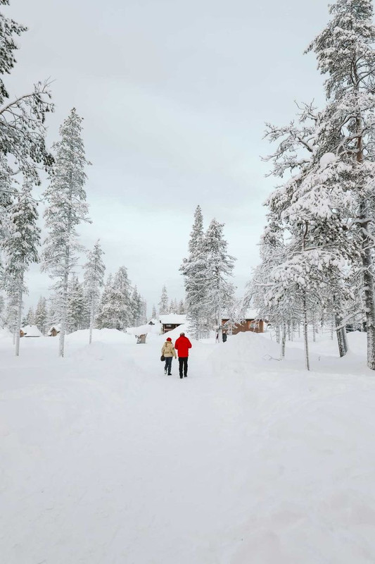 5A980B7E-C7FF-47BE-9348-3022F4C7E8D2