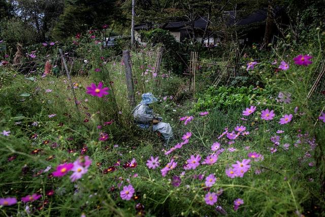 绫野将人偶摆放在各种场景里,模仿曾经居住在村子里的真实的人。