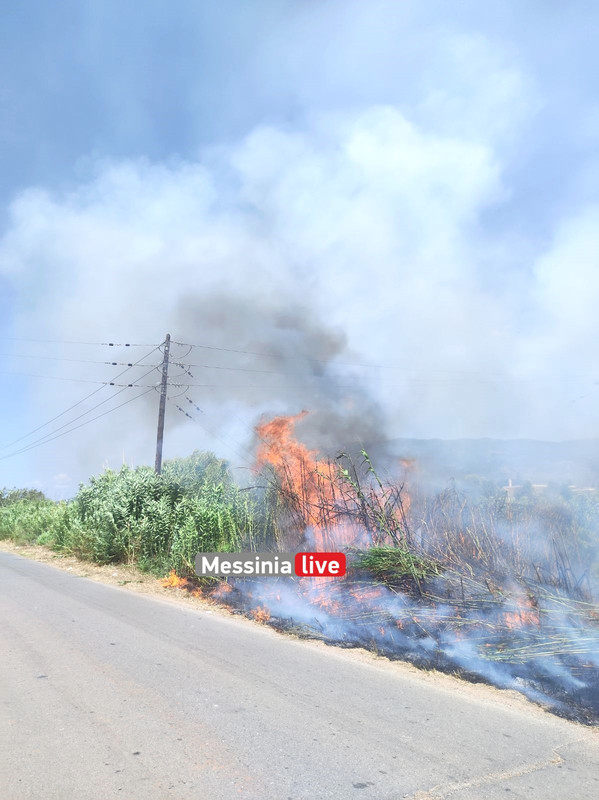 ARIS FOTIA εικόνα_Viber_2023-07-08_14-09-17-887