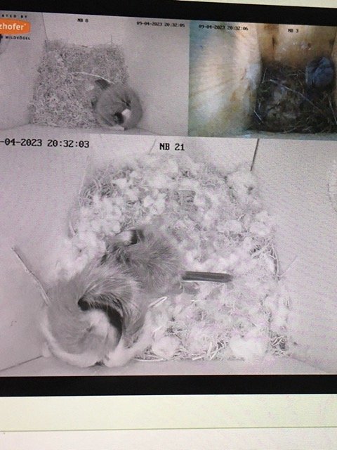 C625DAD0-0BB5-4D35-84CF-D01E50E1CC2E