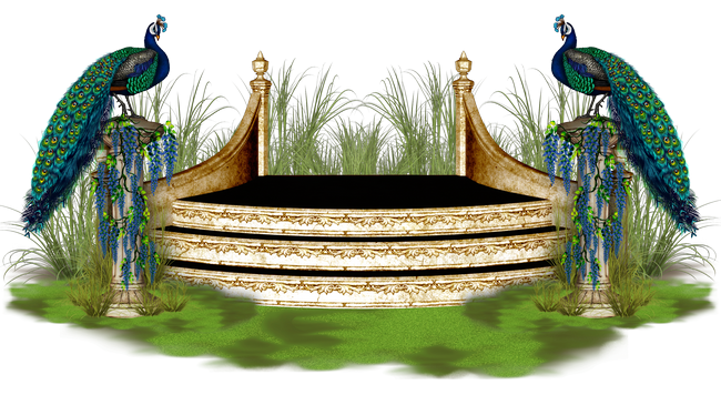 PeacockDreams_MM_Element (118)