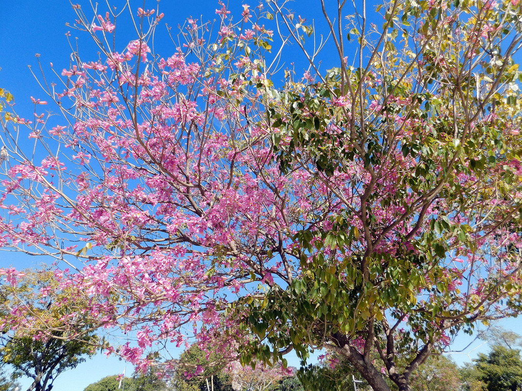 DSCN0235.jpg