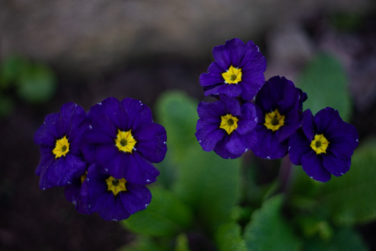IMG-3c15bc0753f396e7418112f92248dcda-V