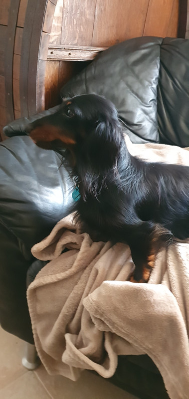 [Image: 20221002-175459.jpg]