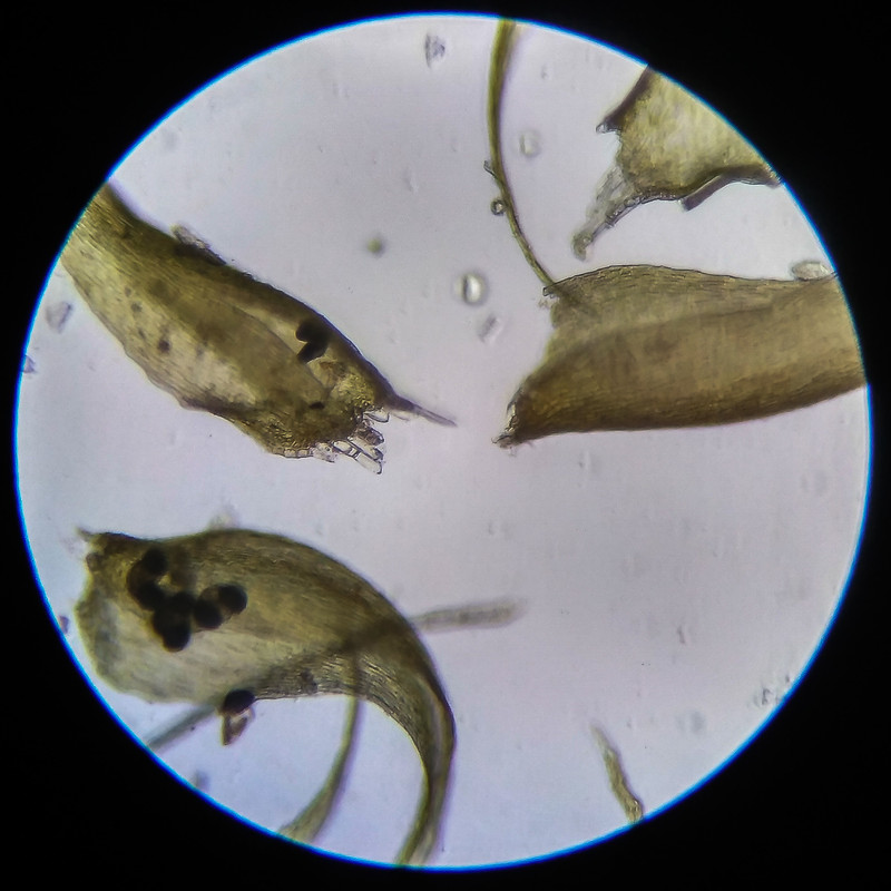 IMG 20250614 204000 HDR