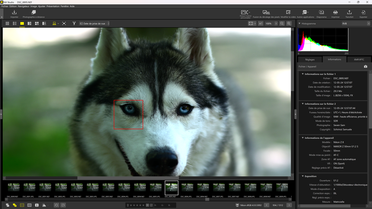 Capture d'écran 2024-05-12 220143