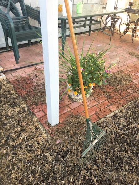 2017_Backyard_Seed_Down_Raking_5_small