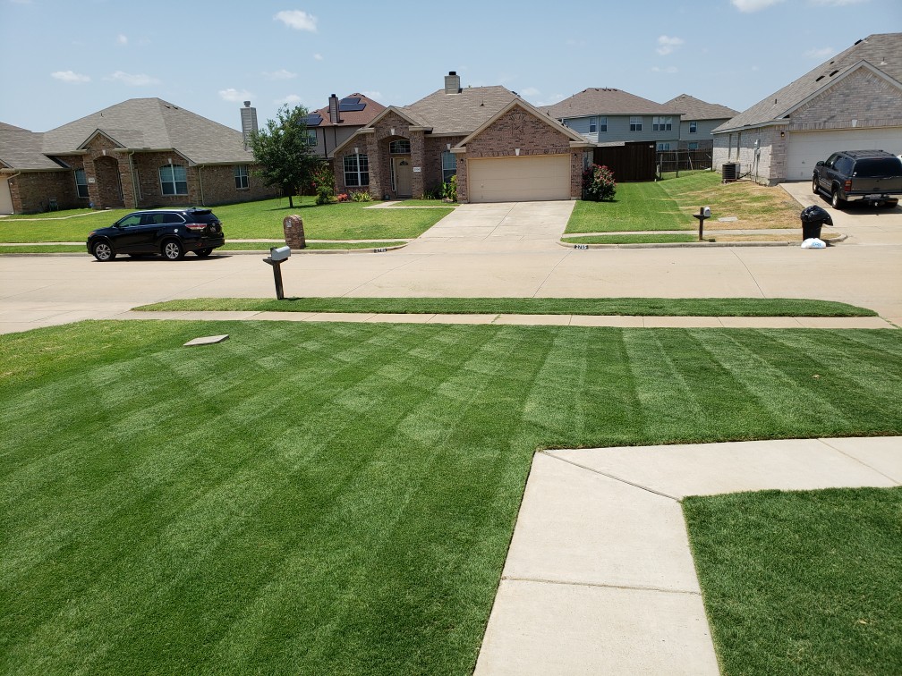 Checkmate sale lawn striper