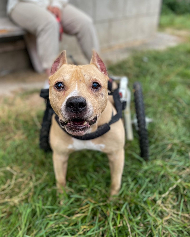 AD8CF3DB-C61C-4A15-8417-CCFFEC95F412