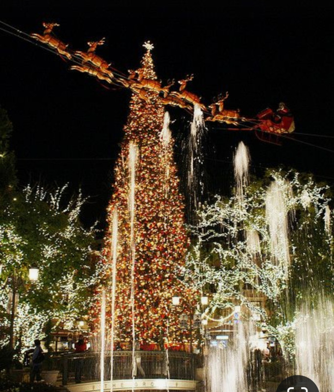 Screenshot_20231211_180516_Pinterest