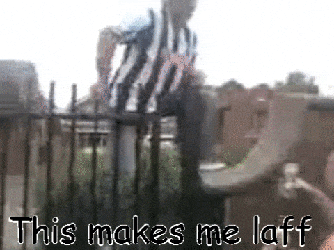 giphy-downsized-large