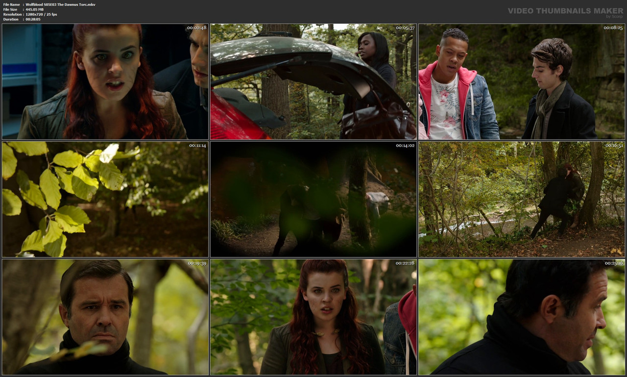 Wolfblood S05E03 The Dawnus Torc.mkv