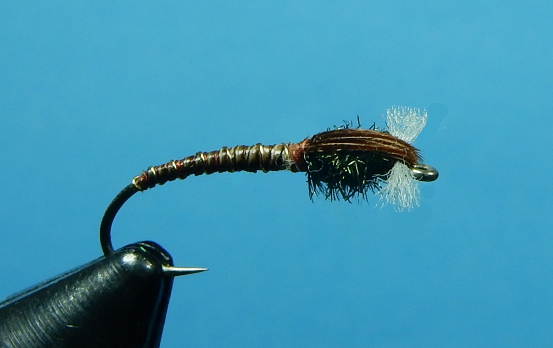 Jack-Shaw-s-Quill-Body-Chironomid-1080.jpg