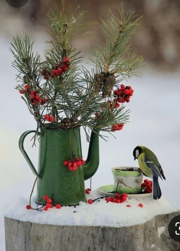 Screenshot_20240202_164541_Pinterest