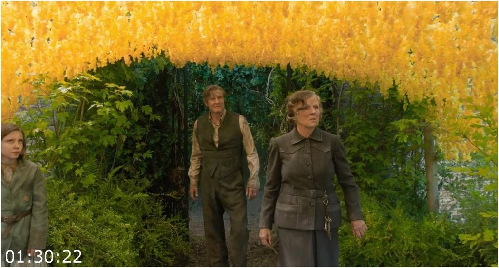 Il-giardino-segreto-The-Secret-Garden-2020-720p-h264-Ac3-5-1-Ita-Eng-Sub-Ita-MIRCrew.jpg