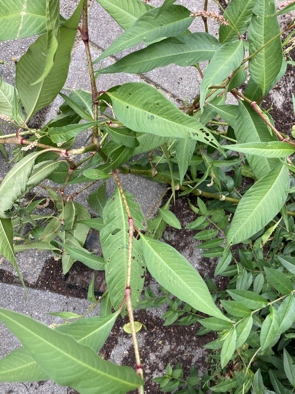 A0FE7F9E-C921-446A-BFD6-16C365492B22