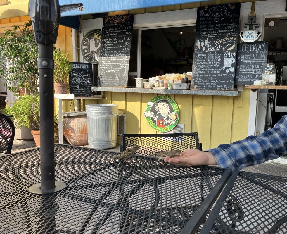 6D1F1D2D-F6B2-4A96-AAE0-DC00BAD5410D