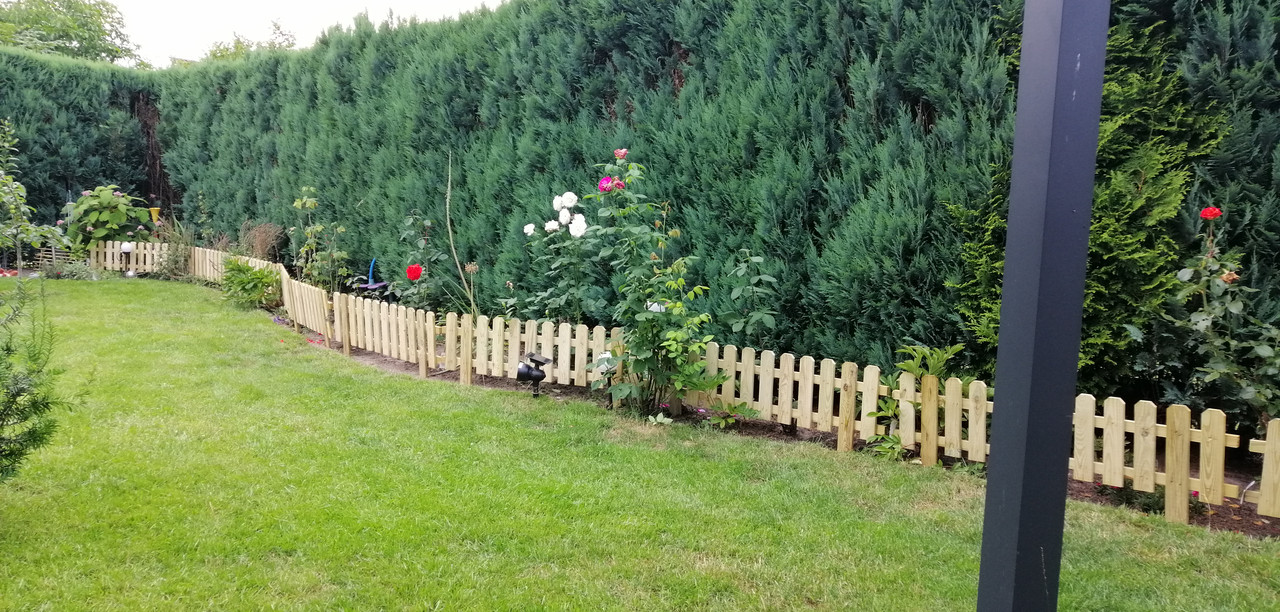 IMG-20210710-190943.jpg