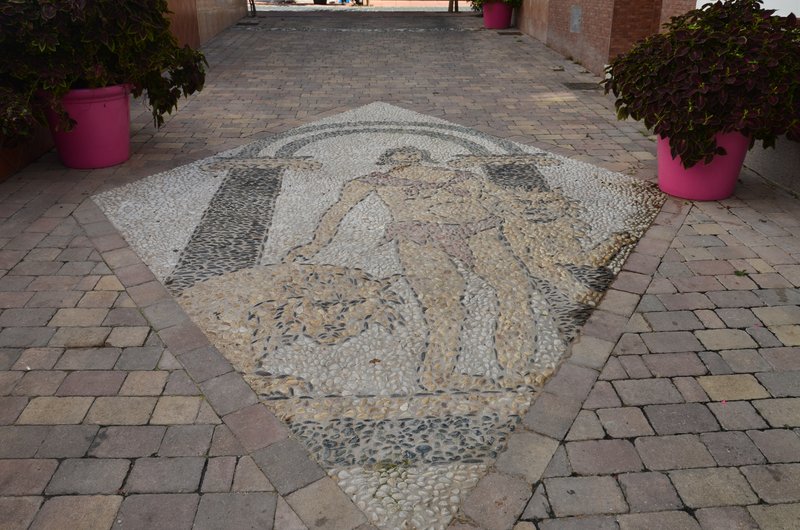 ESTEPONA-9-3-2017 - Málaga y sus pueblos-2009/2017 (91)