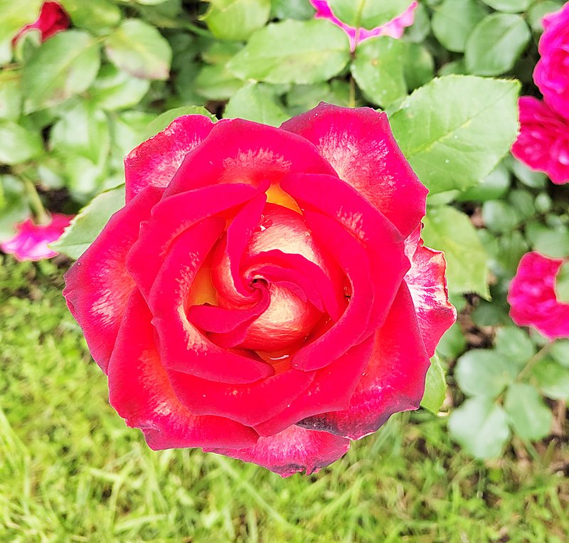 https://i.postimg.cc/x1QwNNPJ/53-IMG-20250626-134824.jpg