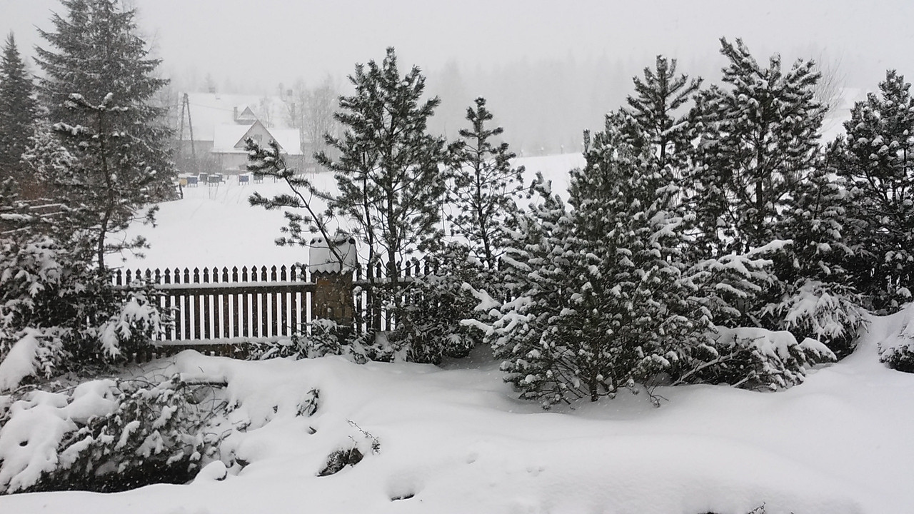 0703 - 20161228_111300