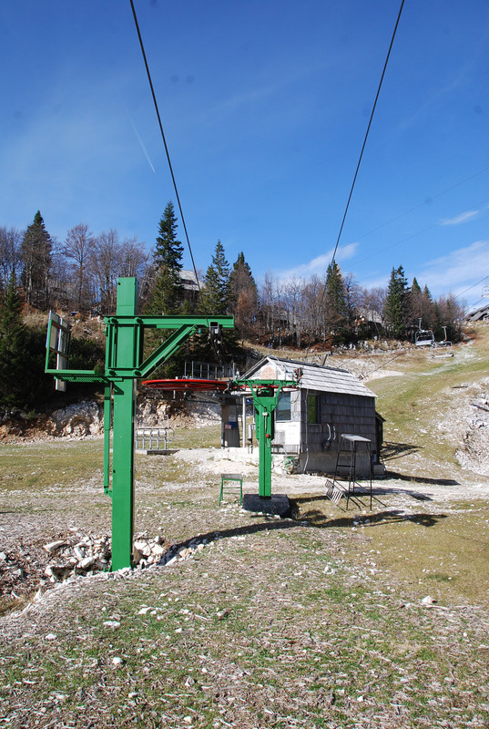 vogel okt 2022 (139)