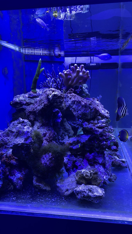 D00D08AB-44C6-49B8-B517-56A2406FDAD0