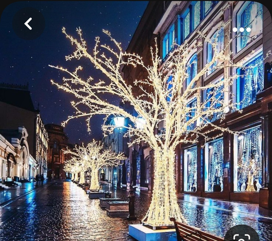 Screenshot_20231010_221159_Pinterest