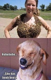 93842515-150102899843137-821508163179538