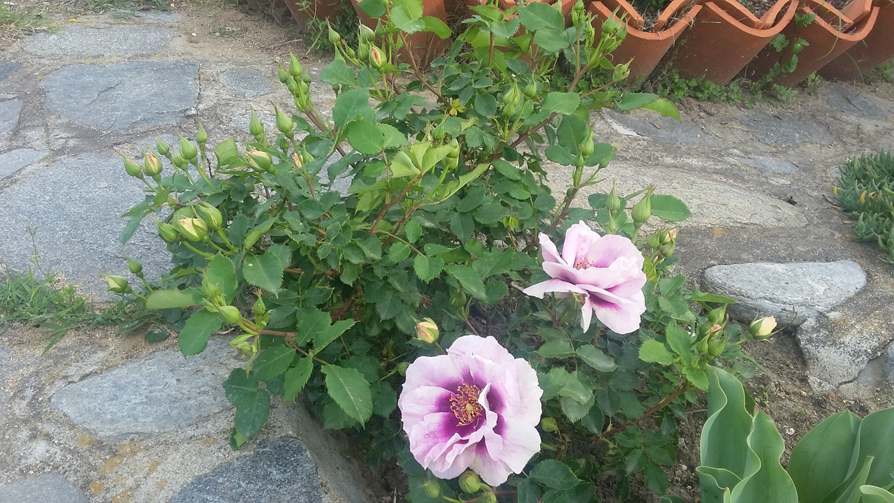 20190430_183330
