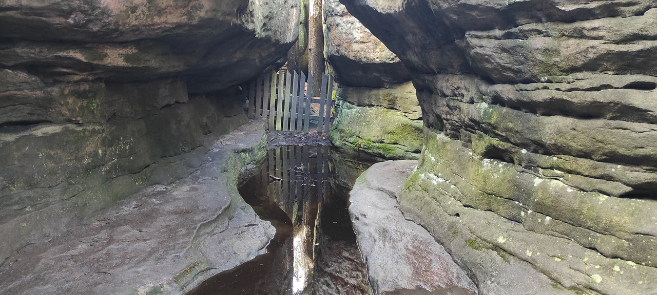 03.17 - IMG_20230429_153816 (Czesio1)