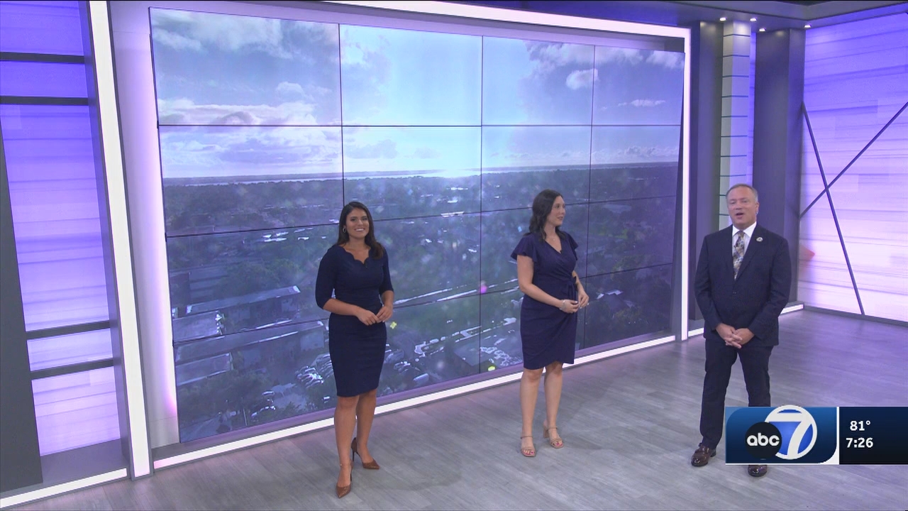 06.14 - 00.00.00 - ABC7 7O'Clock News  ᴺᵉʷ. No Description Info.ts_snapshot_28.55.266