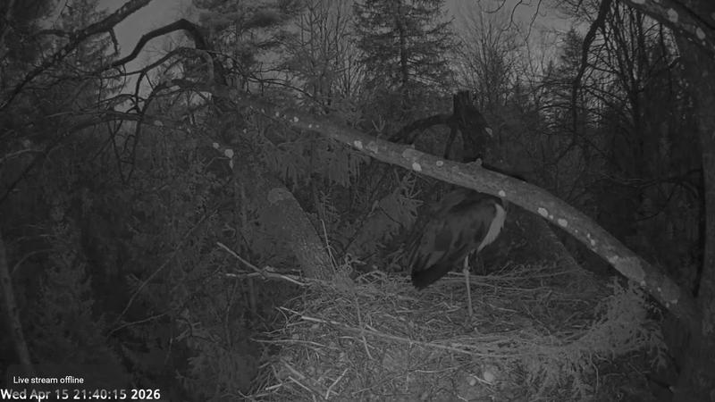 2026 04 15 p 21 40 15