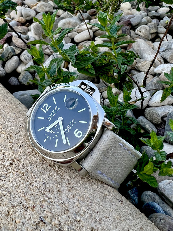 A797726B-7DBF-4FB8-B072-247AC5357BAB