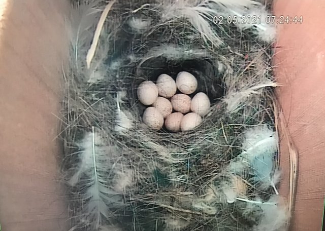 9790362F-A0DB-45EA-9065-1AD28338F482