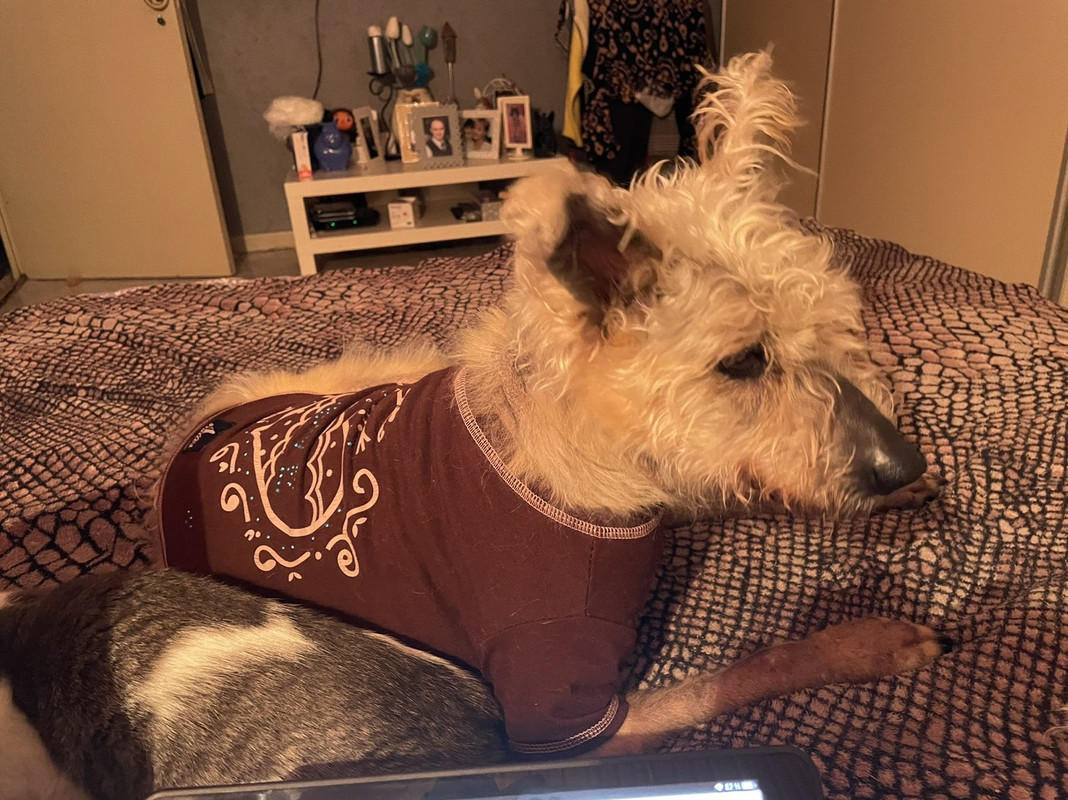 37AA740B-DDA4-4AF6-994E-04E9698F75FD