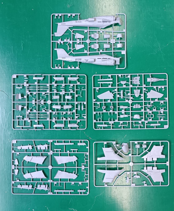 310460259-403330065322928-78645223406910