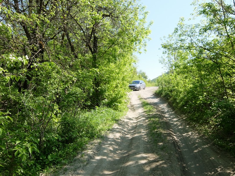 DSCF5599