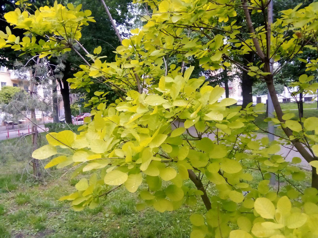 photo_2025-05-17 10.03.33 дп