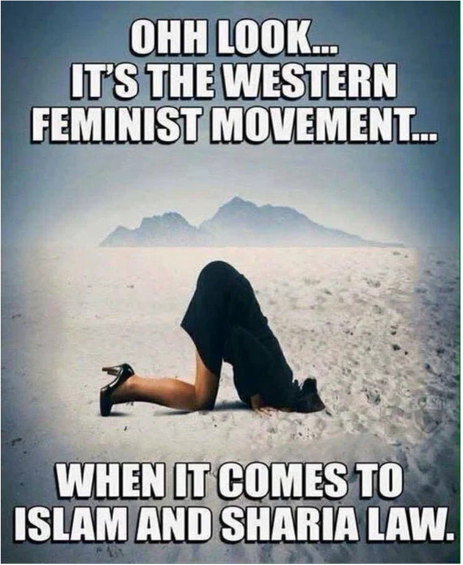 Screenshot 2026 07 09 at 18 02 52 Meme Political Page 1458 Yellow Bullet Forums