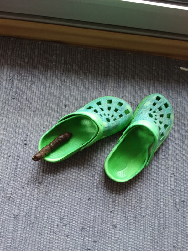 [Image: 20230401-083747.jpg]